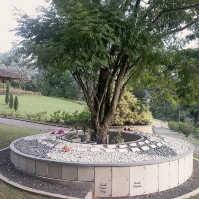 Árbol Cenizario