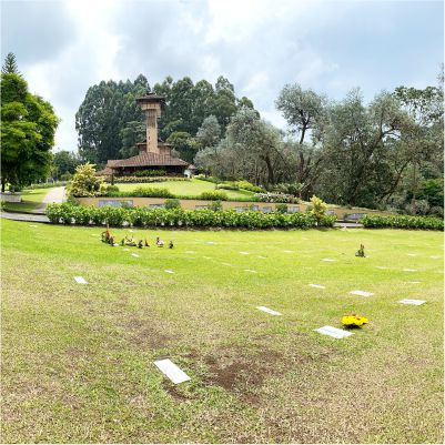 Lotes en Jardín